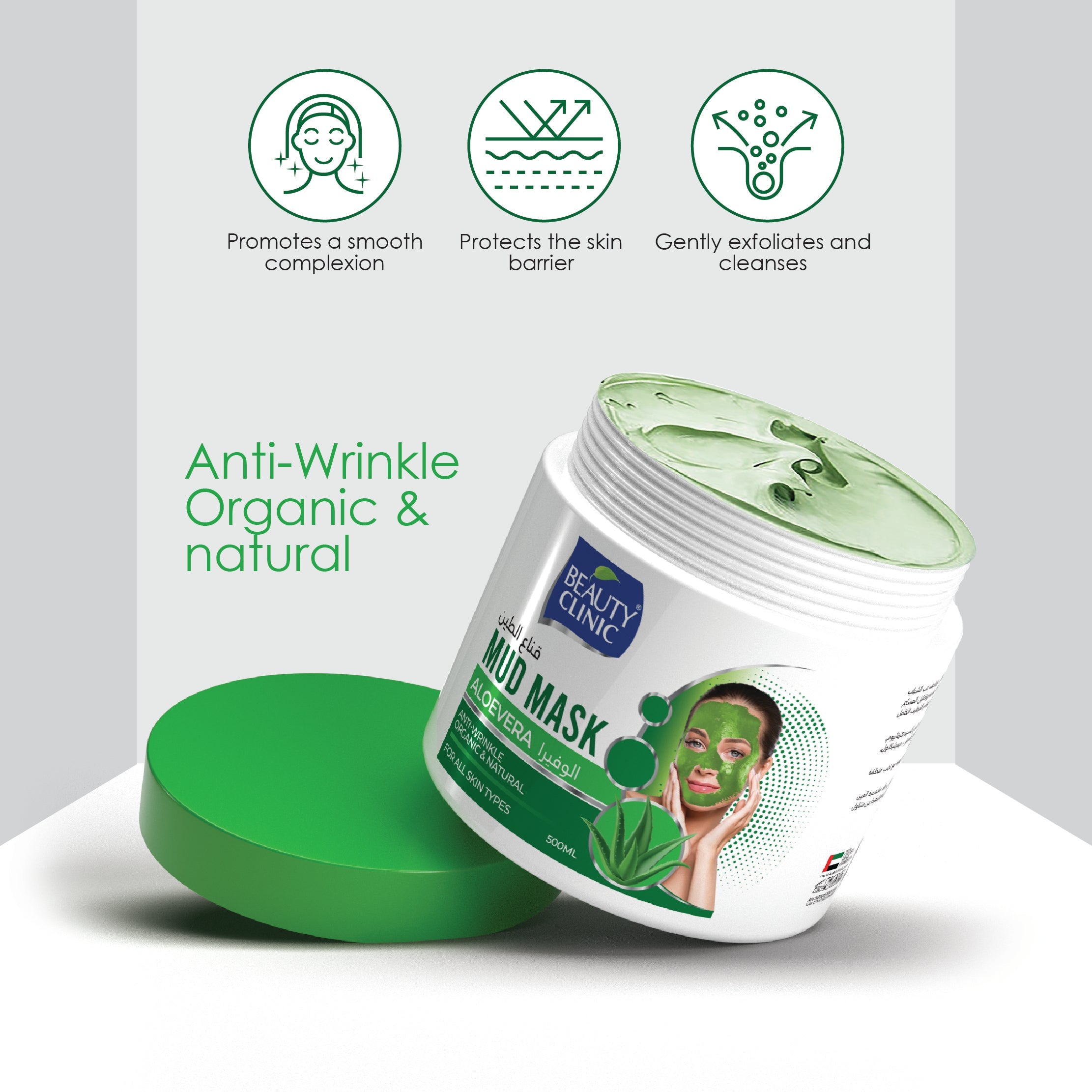 MASQUE DE BOUE À L'ALOEVERA